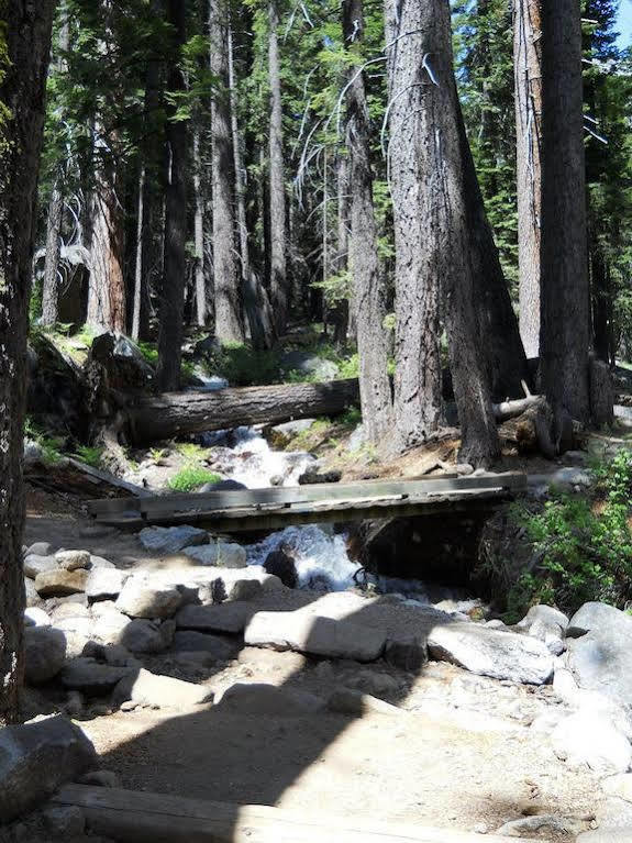 Stony Creek Lodge Sequoia National Park Eksteriør bilde