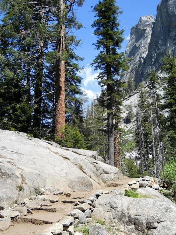 Stony Creek Lodge Sequoia National Park Eksteriør bilde